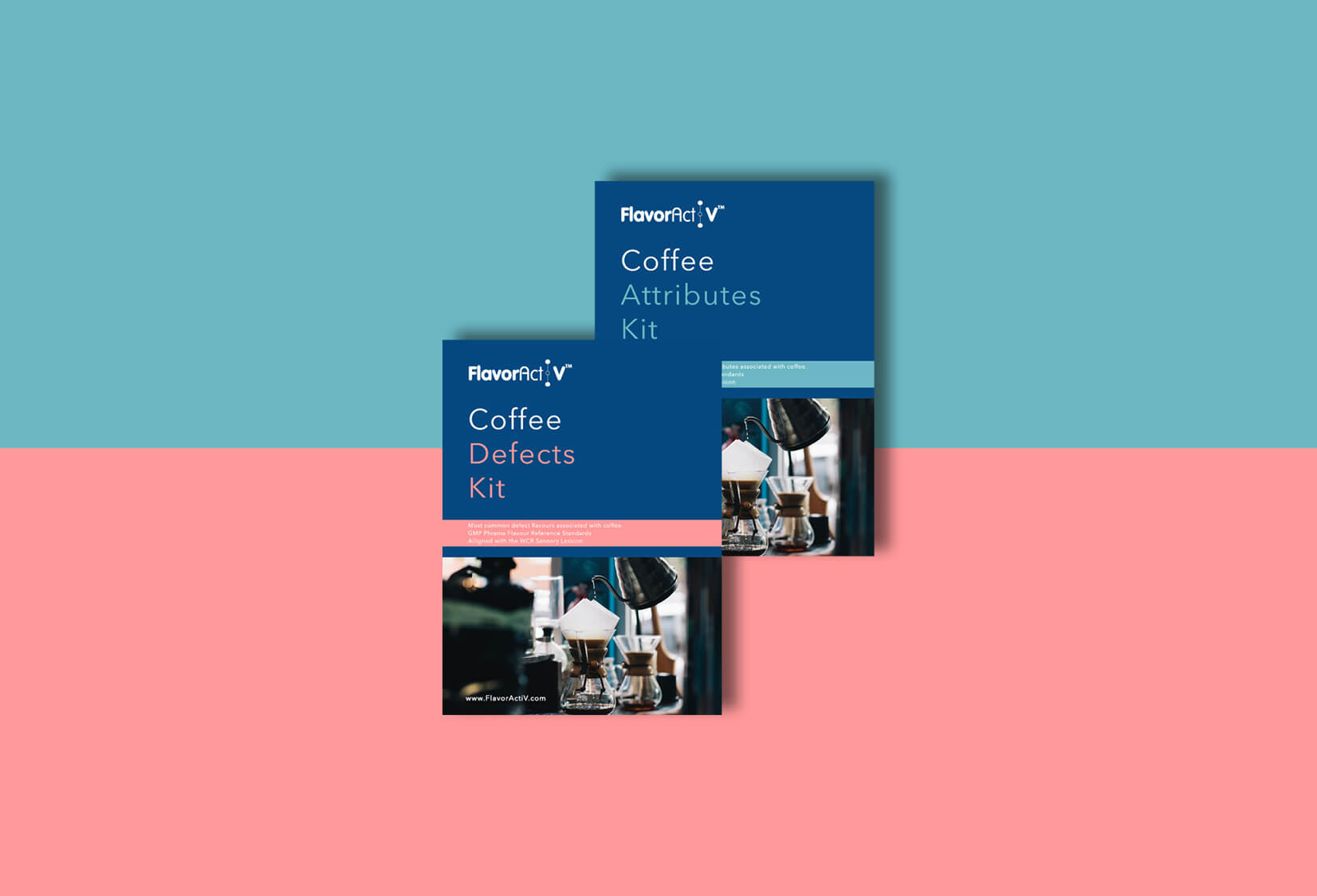 Coffee Attributes and Defects Multi-kit