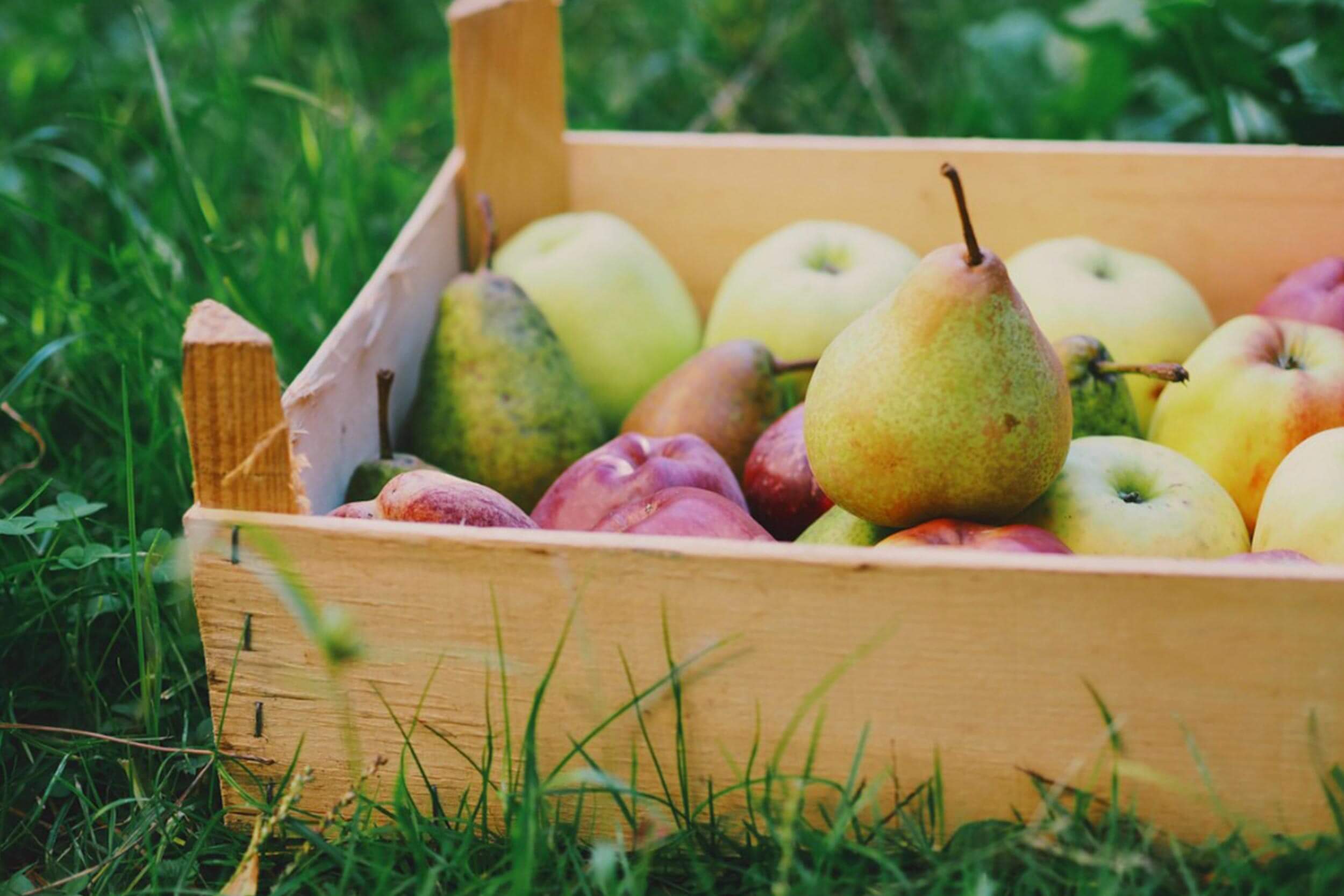 FlavorActiV Judges International Cider Challenge 2013